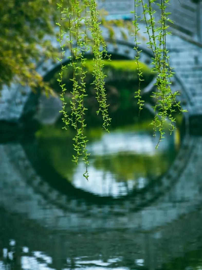 花繁柳密处，拨得开，才是手段；风狂雨急时，立得定，方见脚跟。
——陈继儒
陈继儒