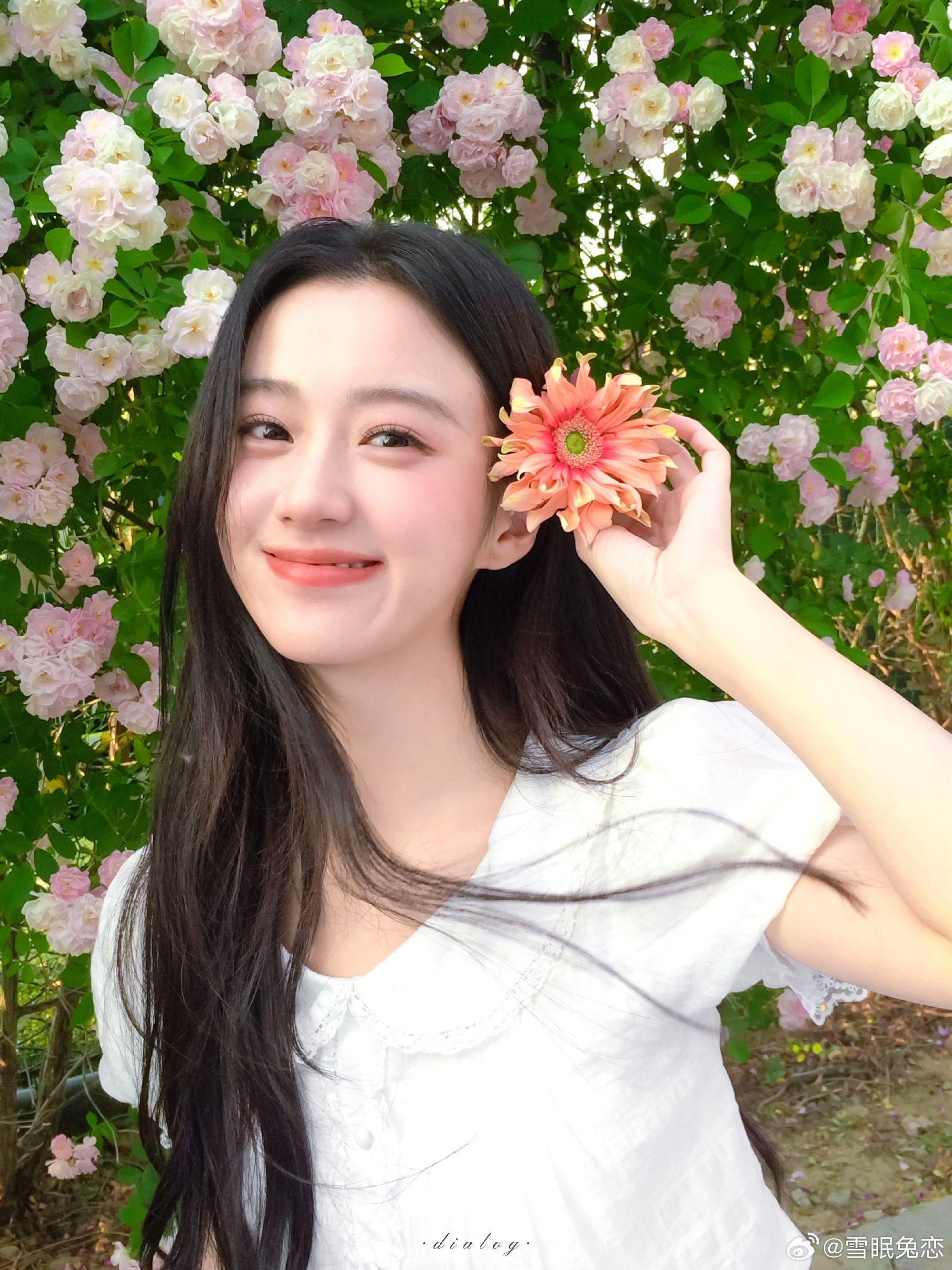 包上恩 🐰包上恩李瑶英 🐰包上恩明月千里 当世界凉如荒岛 我们依然会是彼此的