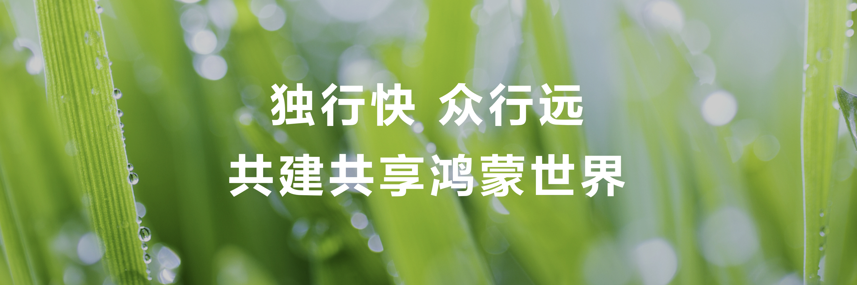 #做早饭时想# 【基础建设是最大的社会公平】昨天老余给我转一个文章，是德国人对于