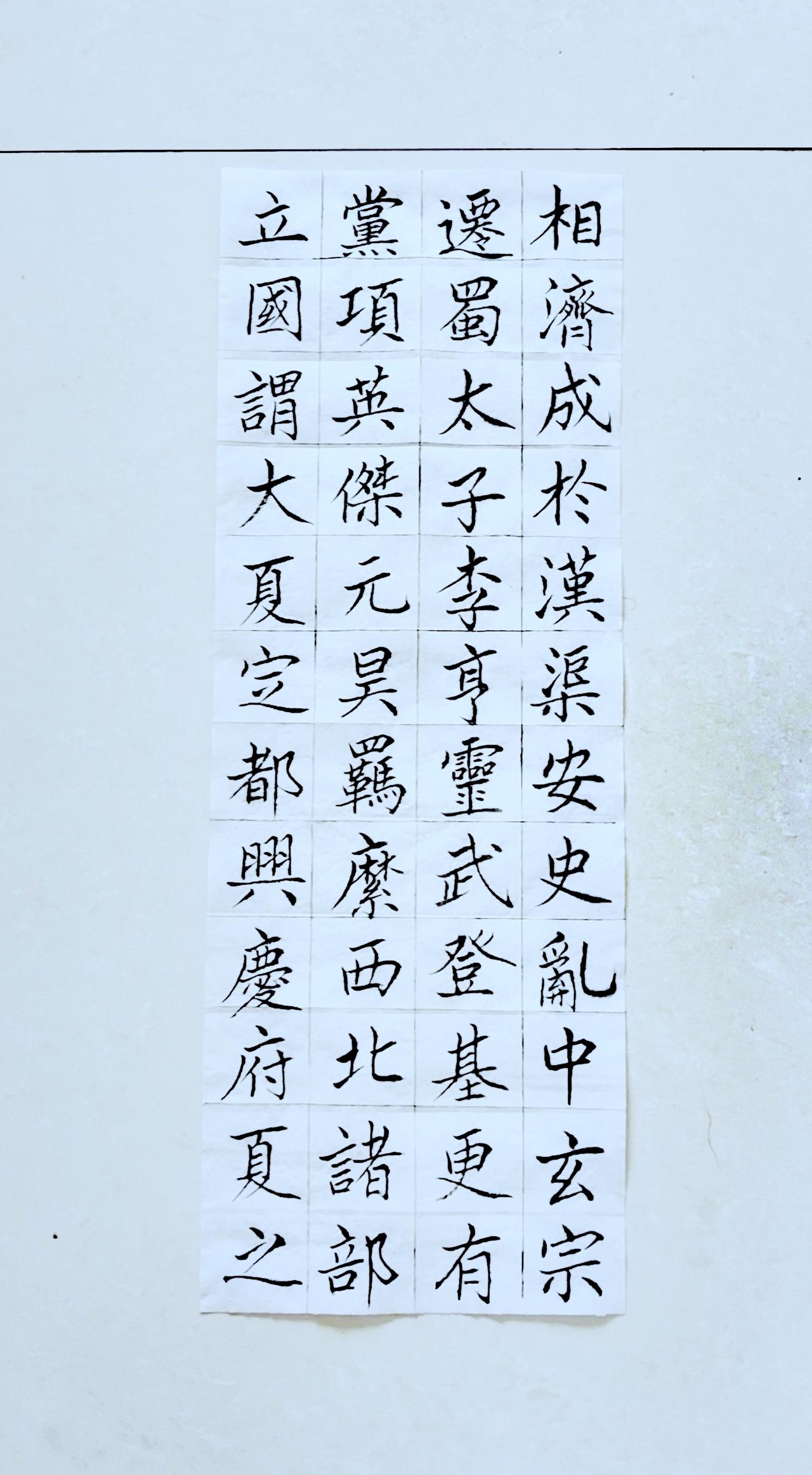 第八十天《宁夏赋》（3）正楷毛笔练习