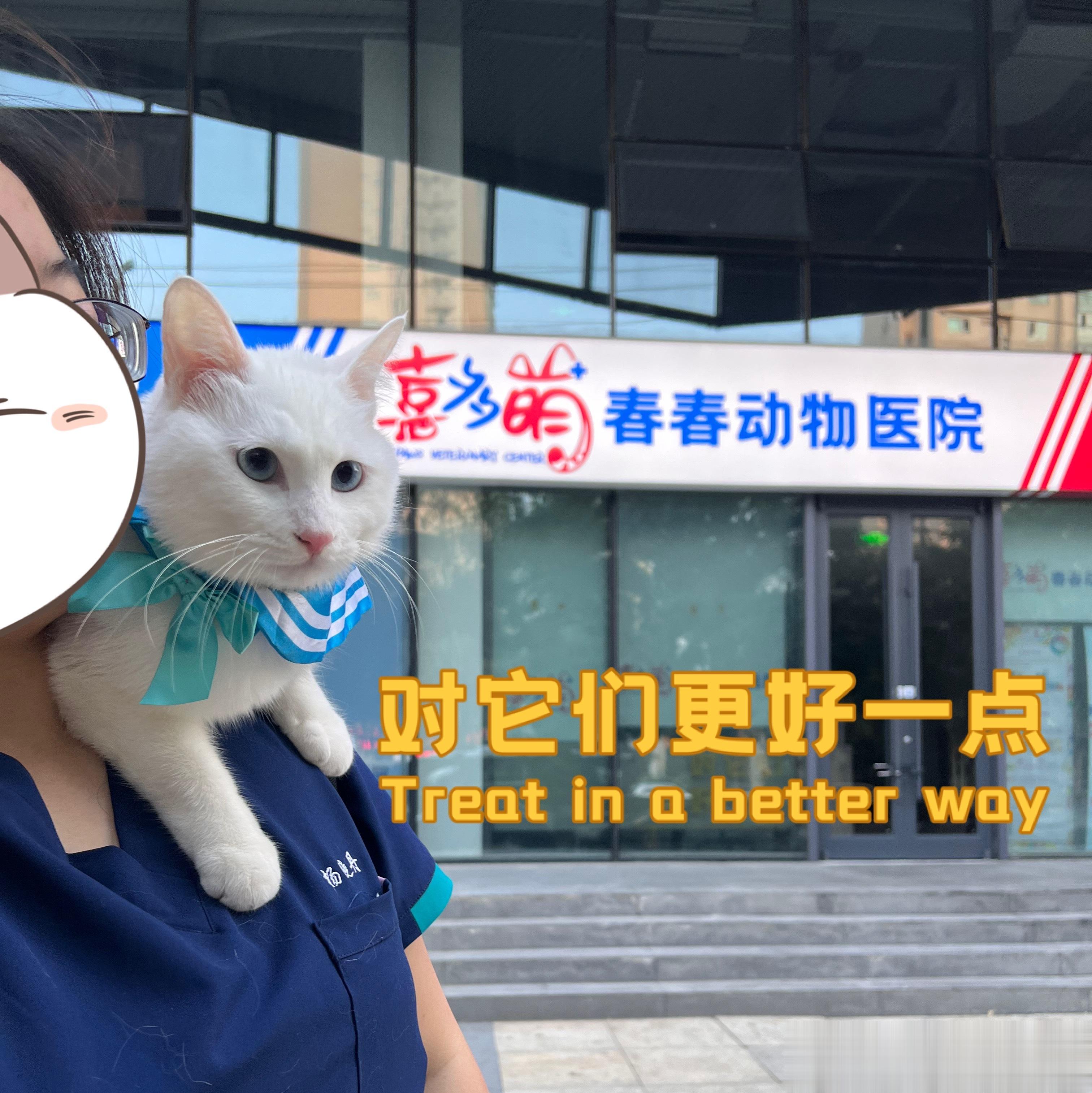 #鱿仔# 被迫营业今天试试抽空直播吃虾哈  ​​​