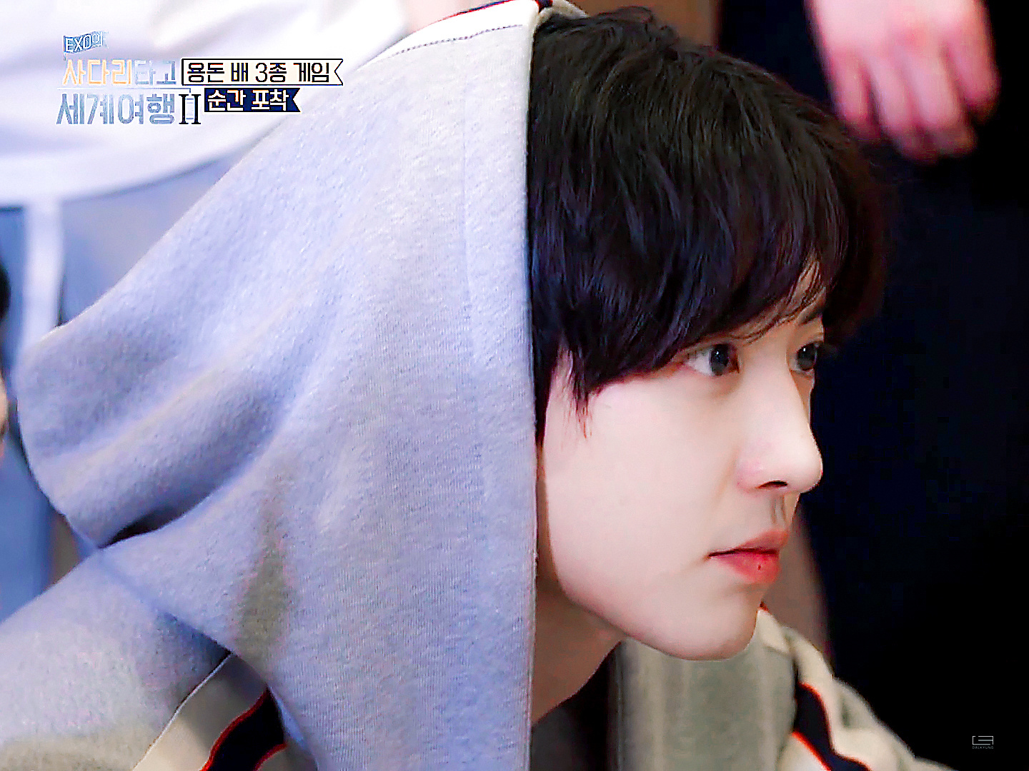 #朴灿烈[超话]#EXO的爬梯子世界旅行 ​​​