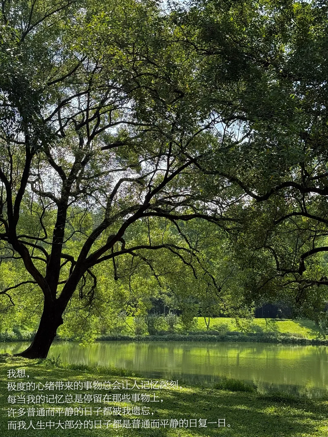 “感到平静的日子就是好日子”