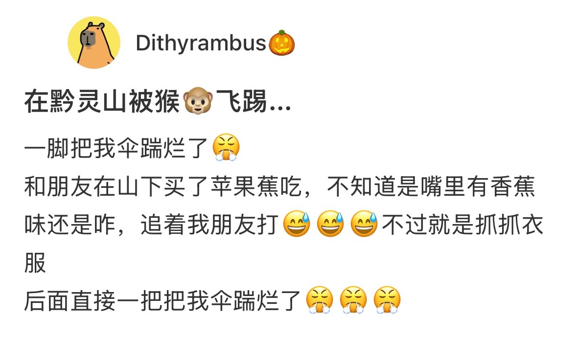 在黔灵山被猴子来了一次飞踢[允悲] ​​​