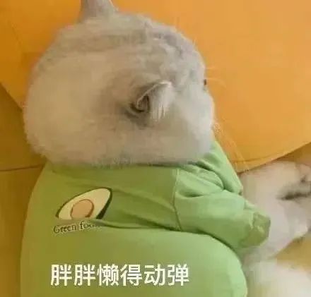 创意笑料，沙雕表情的可爱反击 #表情包# ​​​