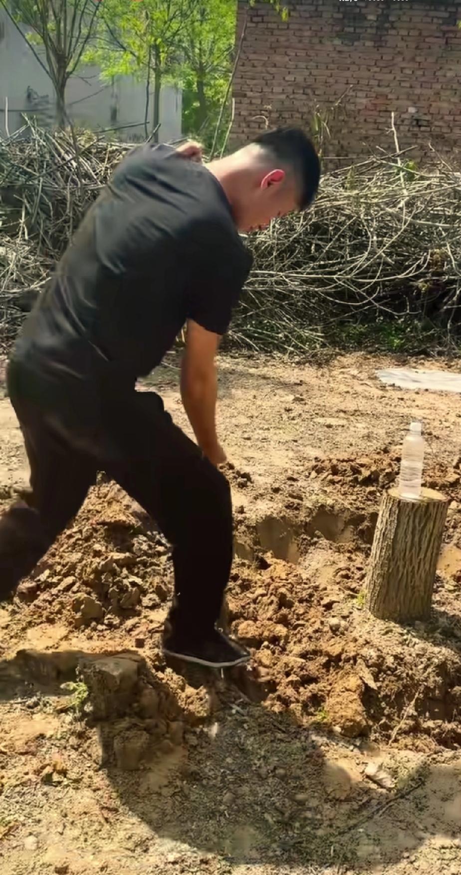 厉怀远难道就一个人在安徽默默耕耘他的一亩三分地？不是说有了意中人了吗？为什么意中