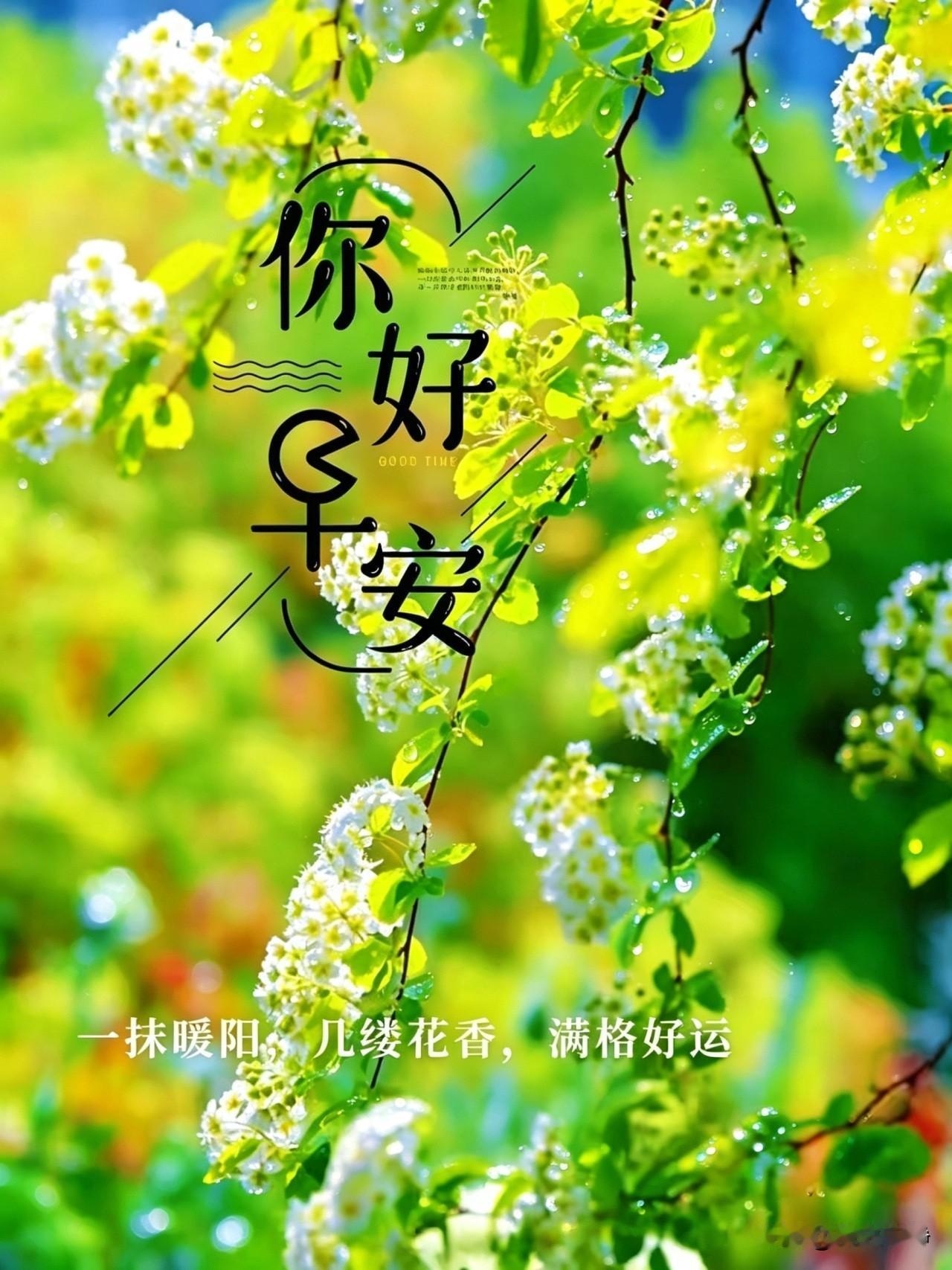 🍃²⁰²⁶/₀₆.₀₃ᵕ̈ 六月｜夏绿☀️🌼☕️🍒🍊
☀️晨光拂面，清风