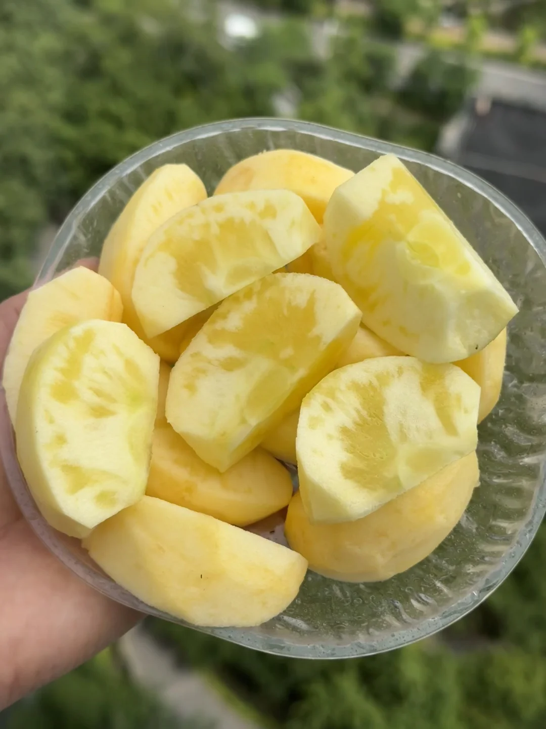 又到了吃冰糖心丑苹果的季节了！