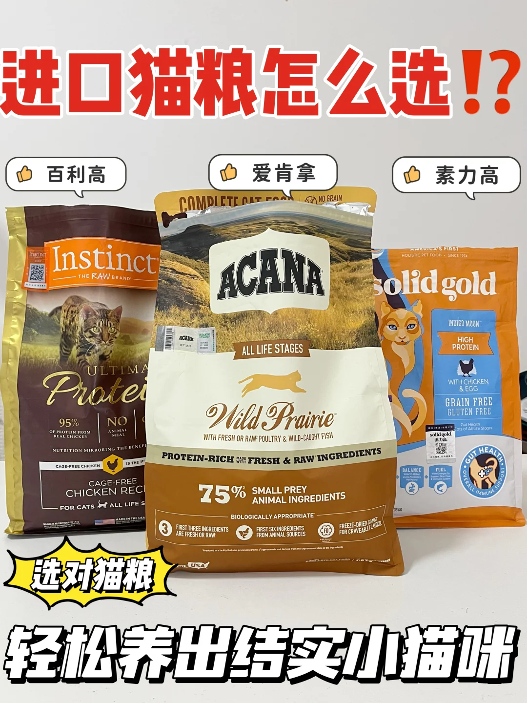 三款进口大牌猫粮测评！谁是主子心头好❓