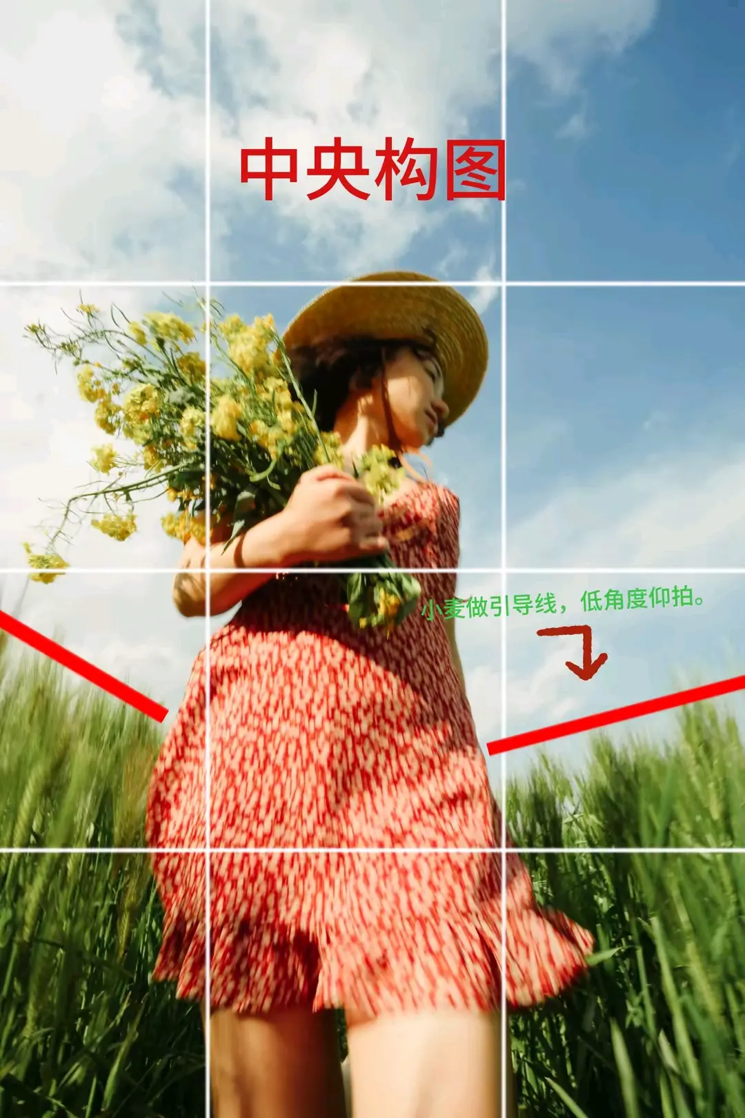 矮花合照技巧，几张图说明构图的重要性。