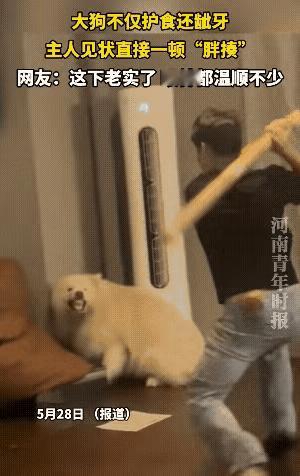 教训狗子是必要的，得让它记的做一条乖乖狗，但也没有必要下那么重的手。