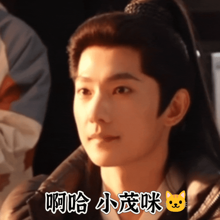 猫猫猫 咪咪咪 🐱 
