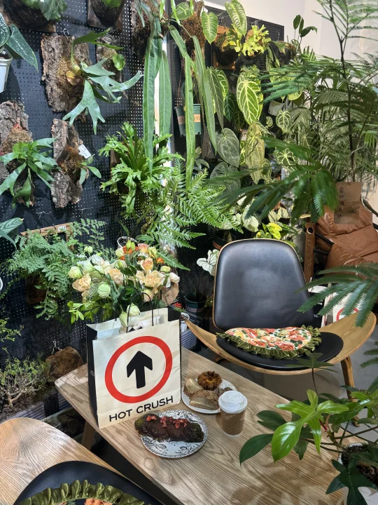 保定！买少了…真买少了！！