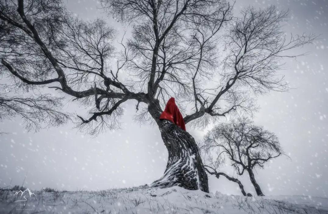 实用且有趣味
清朝老和尚的故事便是例证
地主出上联
“自在观，观自在，无人在，无
