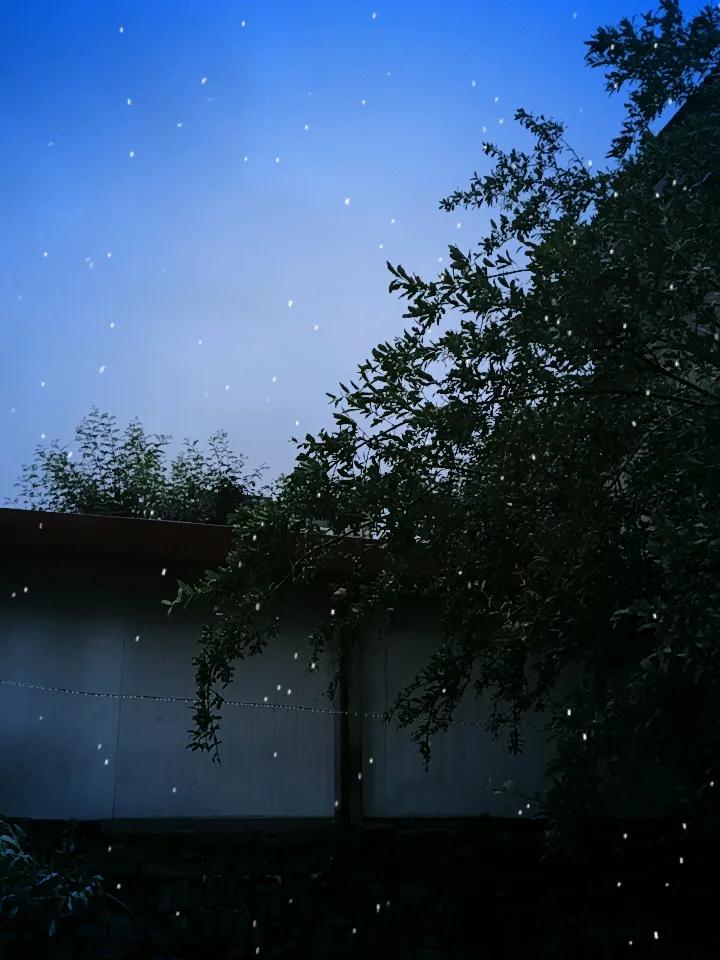 雨丝轻柔，静静洒在枝叶上，燥热慢慢消散。院内褪去夏日浮躁，空气清新湿润。树木尽情