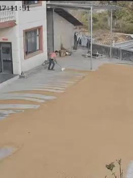 谷子要泡汤，汉子急得光膀子乱转！
 
城里住十年，对门姓啥都不晓得。
 
乡下不