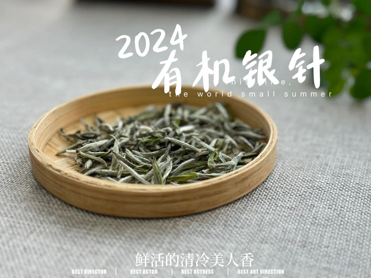 不满3年的白茶，不能喝？
常常有人疑白茶没存满3年，难道就不能喝吗？惑：“”
其