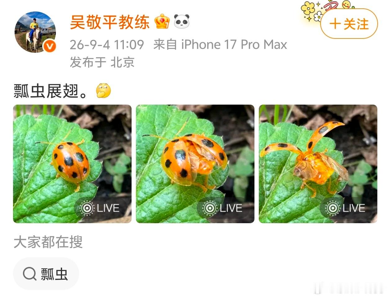 拍照技术上去了看着很好看，可惜背上那么多黑点，是个十足坏虫 ​​​