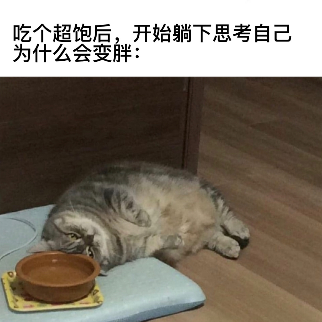 为什么？#今日memes# ​​​