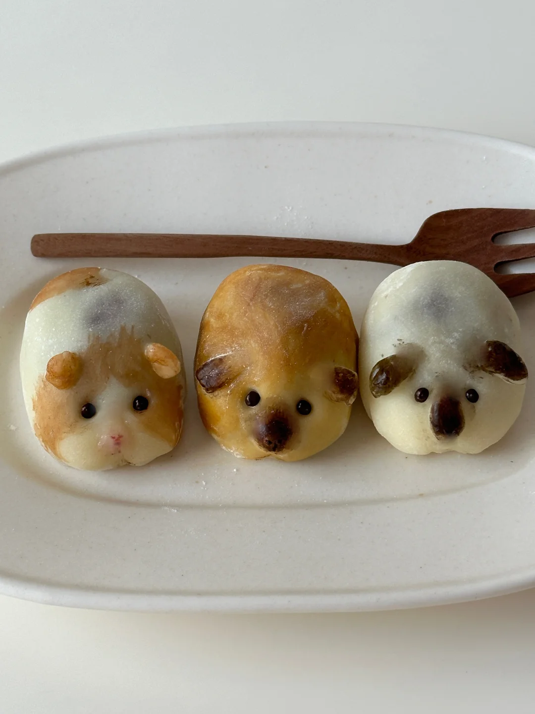 荷兰猪豚鼠鼠豆沙草莓🍓大福