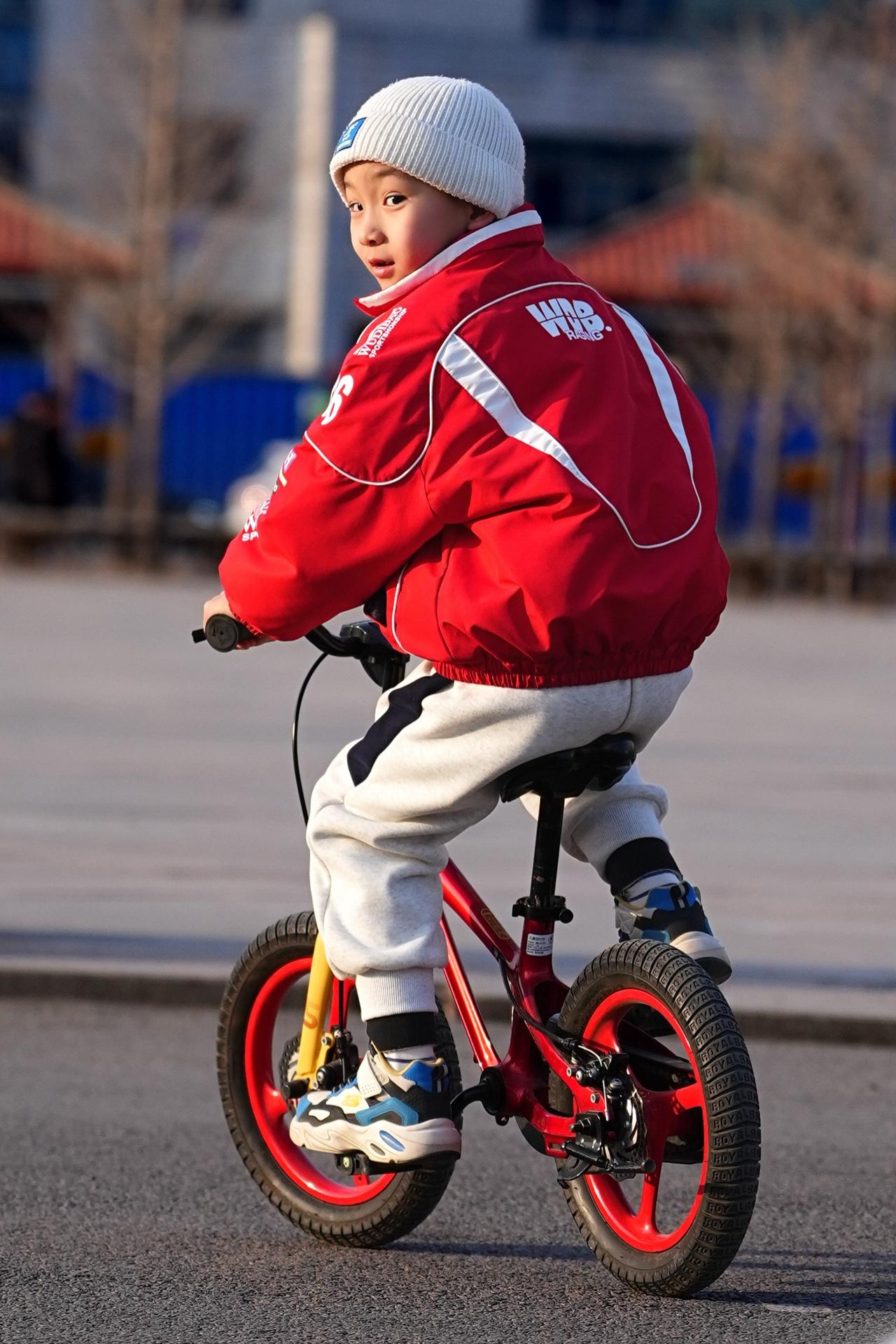 萌娃动物趣味写真拍同款 萌娃趣味写真