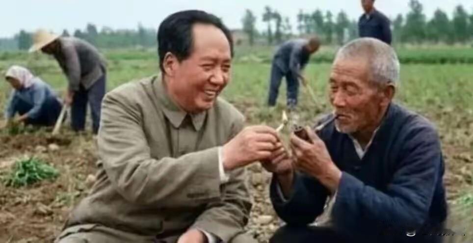 自从毛主席走后，我由绵长的心痛渐渐的转为了怀念，历经愈久，怀念愈深。