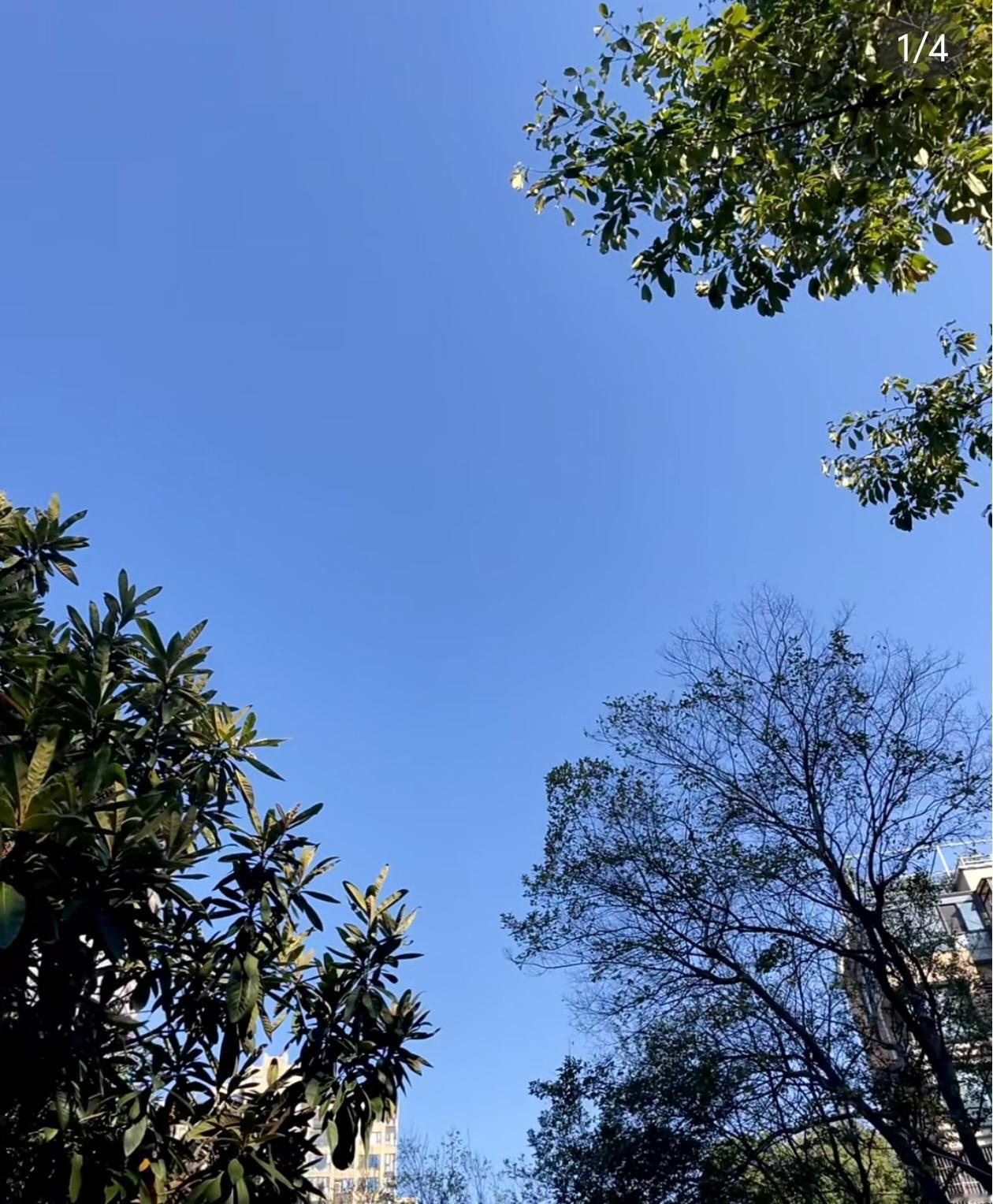 我爸杀害了妈妈，8年后我准备复仇时，发现小三竟然是我小姨。

那把生锈的钥匙在锁