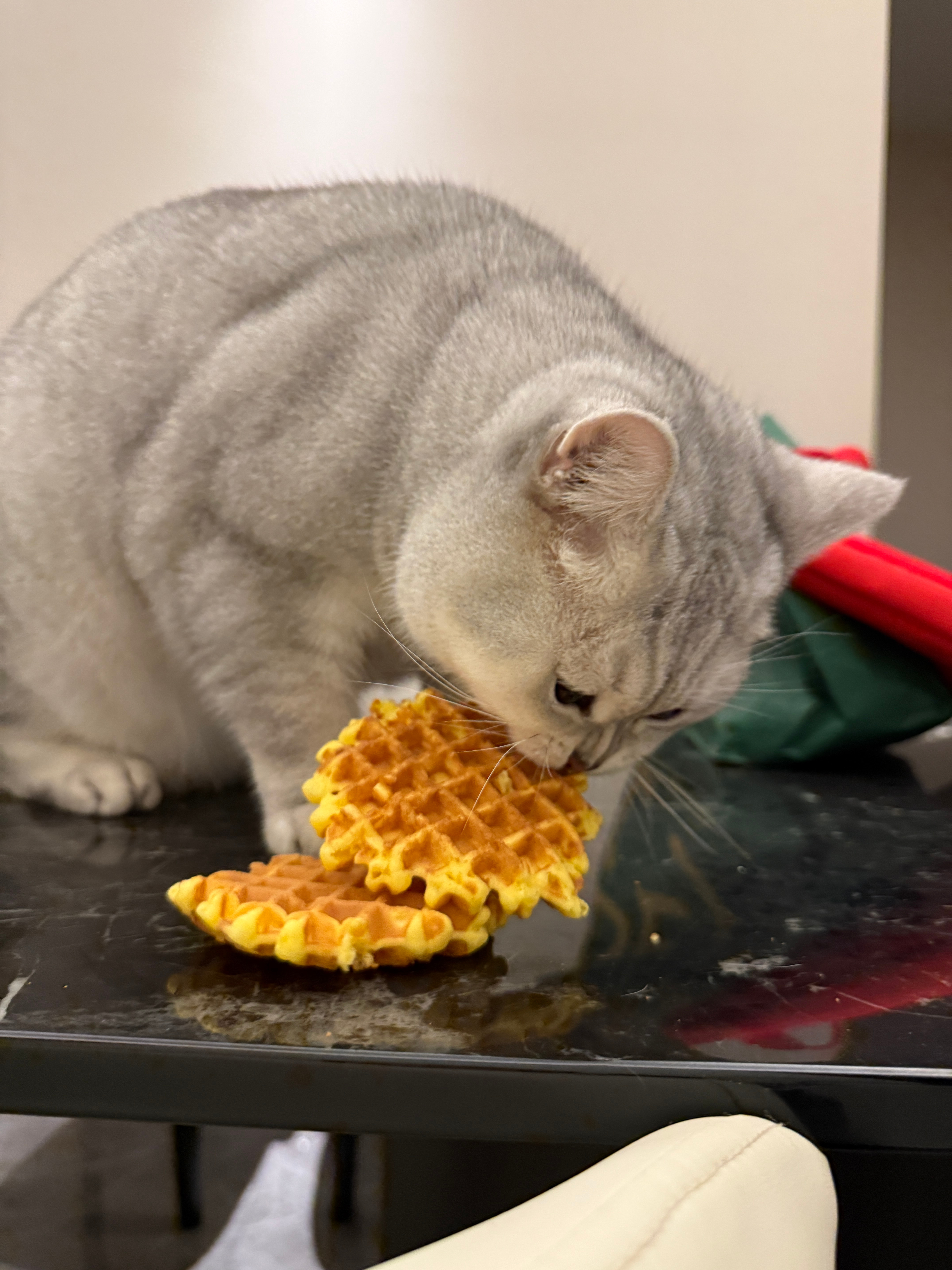 就猜到他爱吃华夫饼 武汉