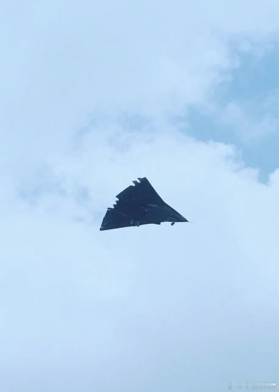 银杏叶2号（图源见水 ​​​