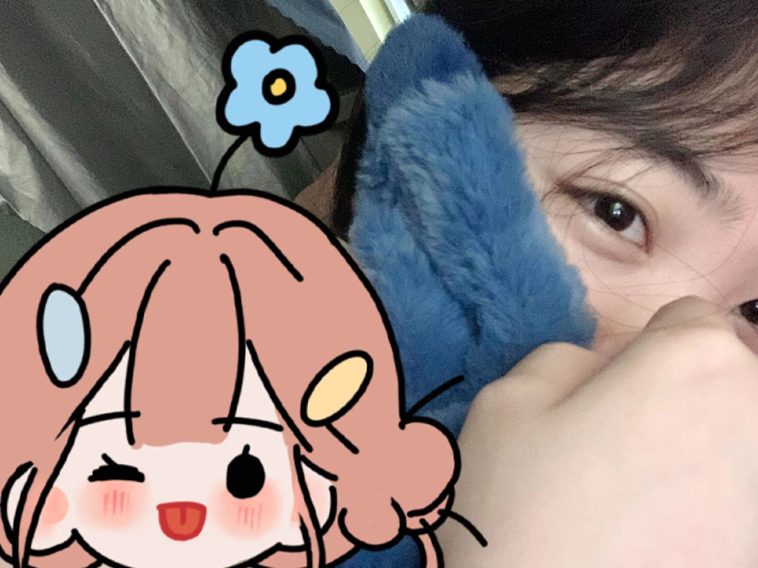 怎么每天都好困😪