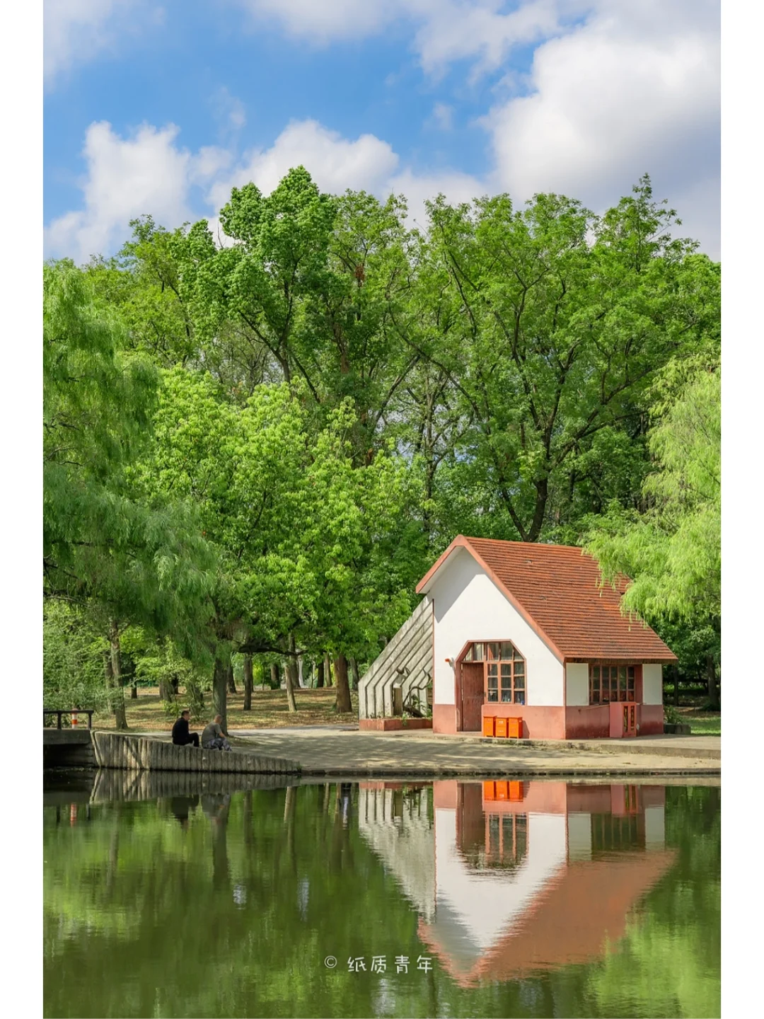 上海拍照|在共青森林公园寻找一抹绿🌿