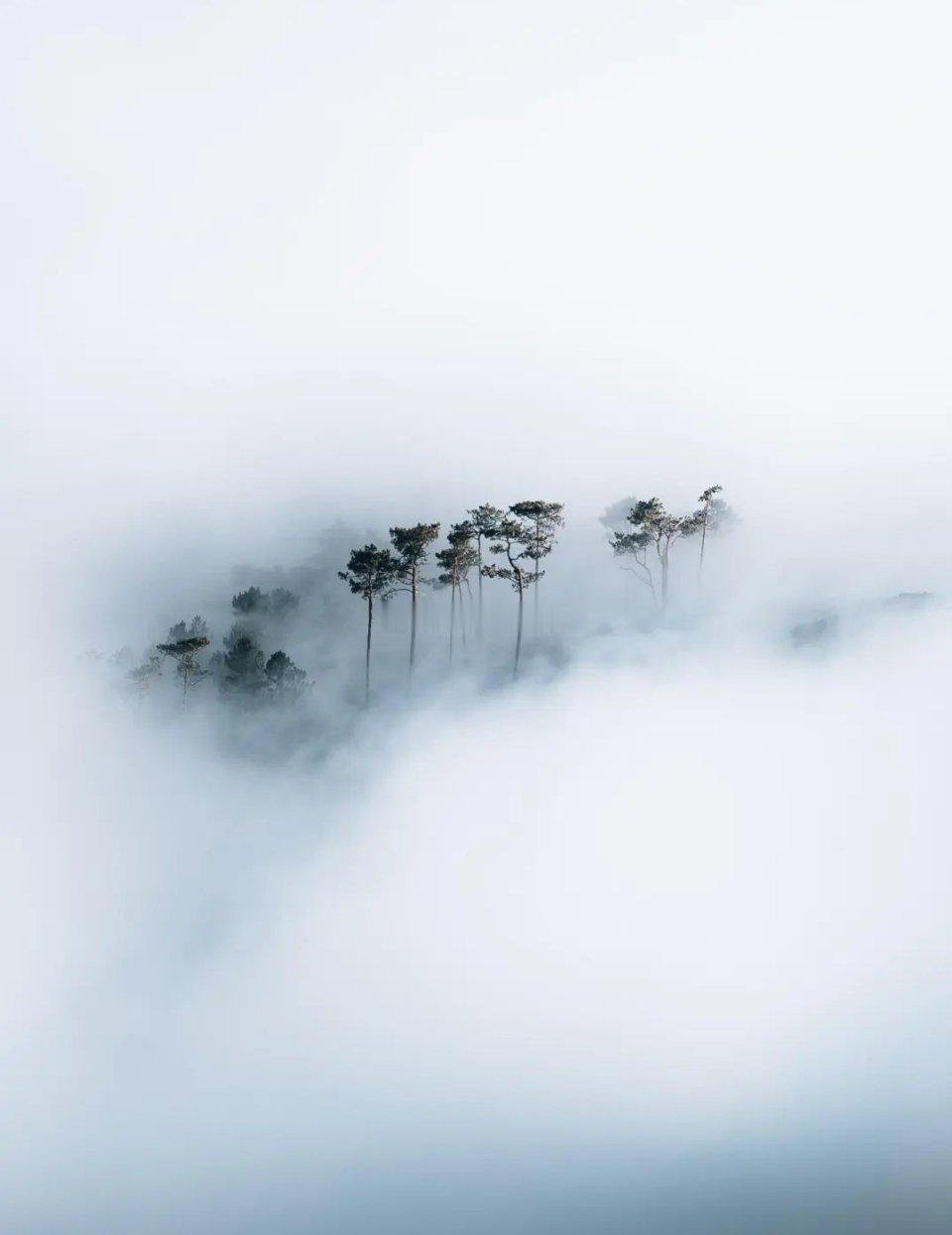 4月29日早间要闻一、个股公告中国广核：拟收购苍南核电等两家公司股权 交易总价约