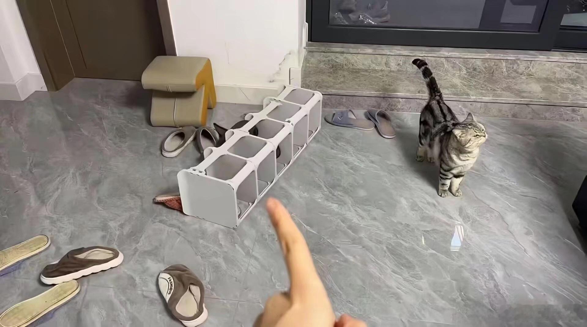 人生态度。 