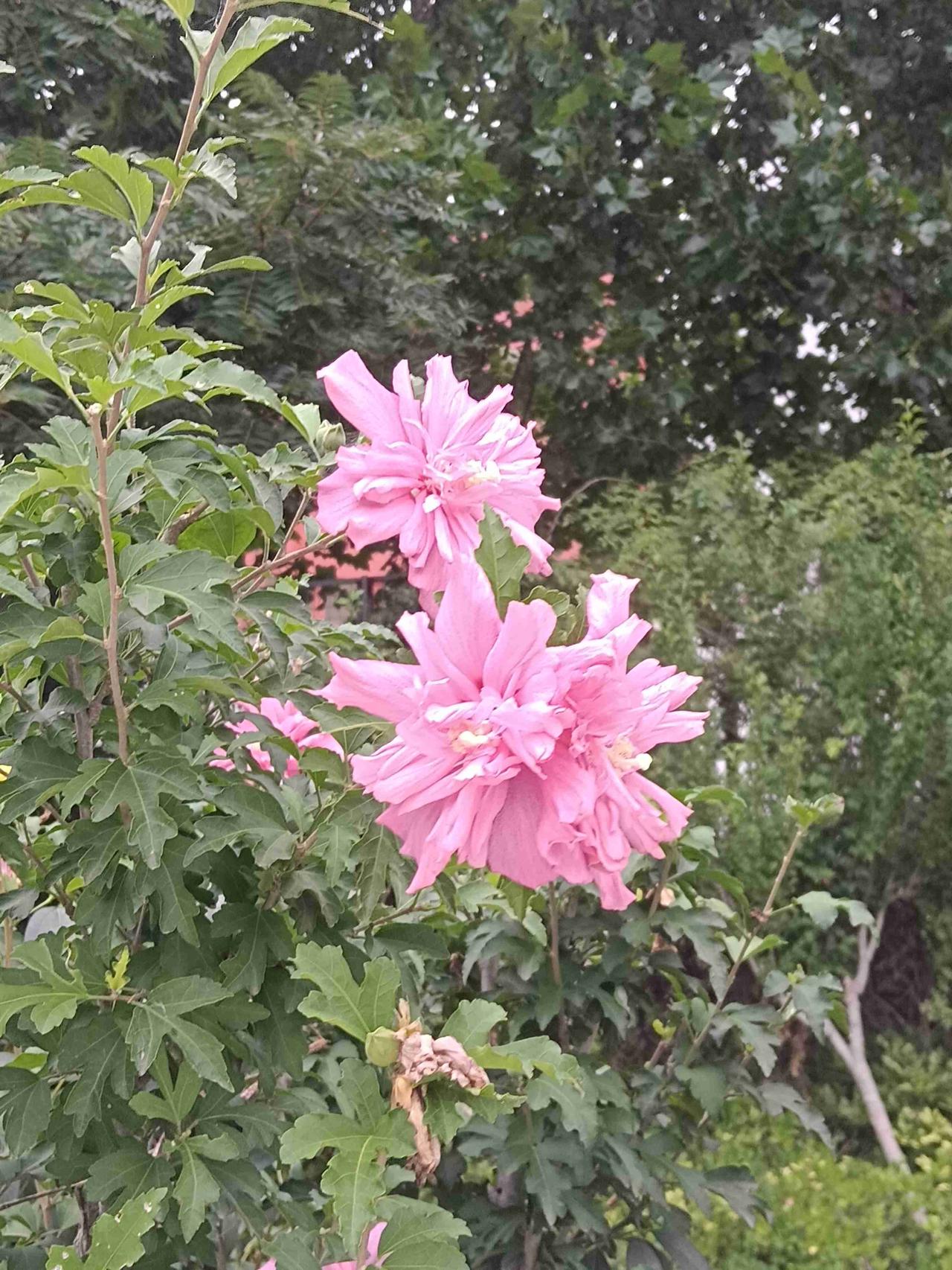 我的今日状态：💰期待暴富
我这里的天气：🌤️多云