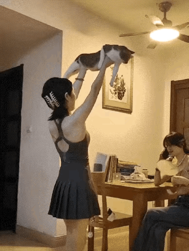 不管什么猫，她喜欢的就是我喜欢的。