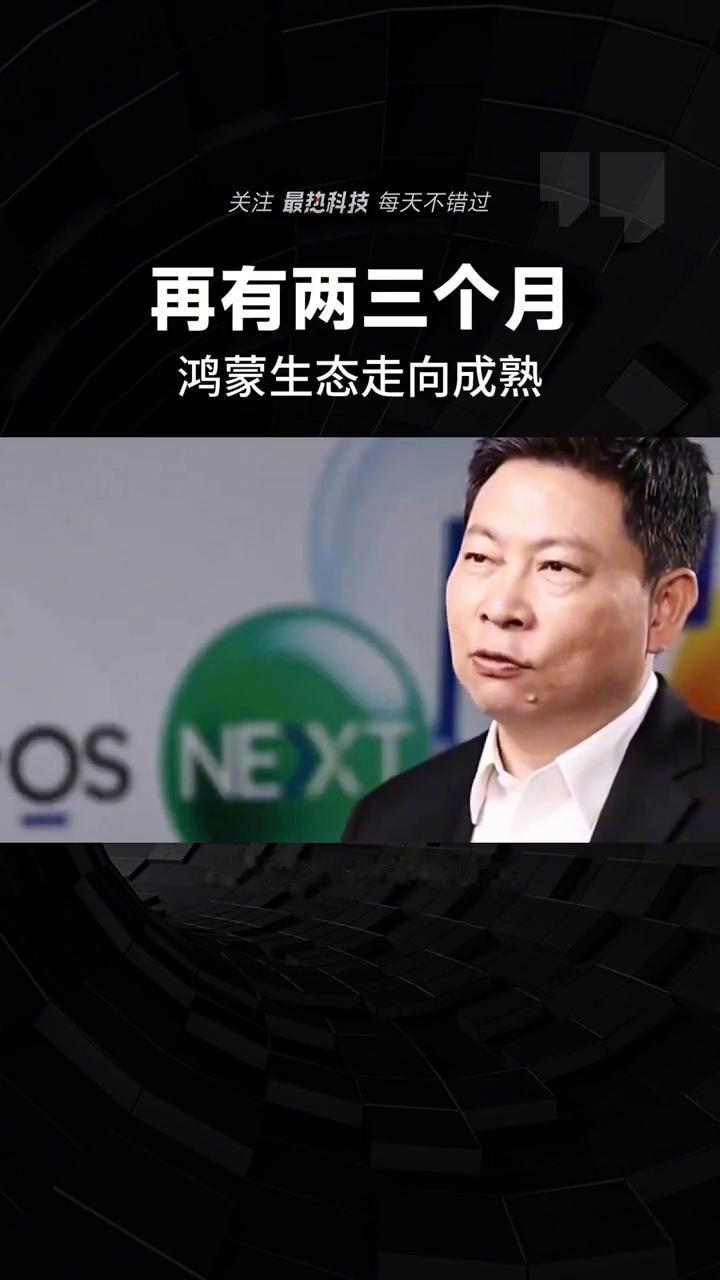 其实我们有十年的时间走过了别人三十年、四十年，是走过的路。手机的续航安全和隐私保
