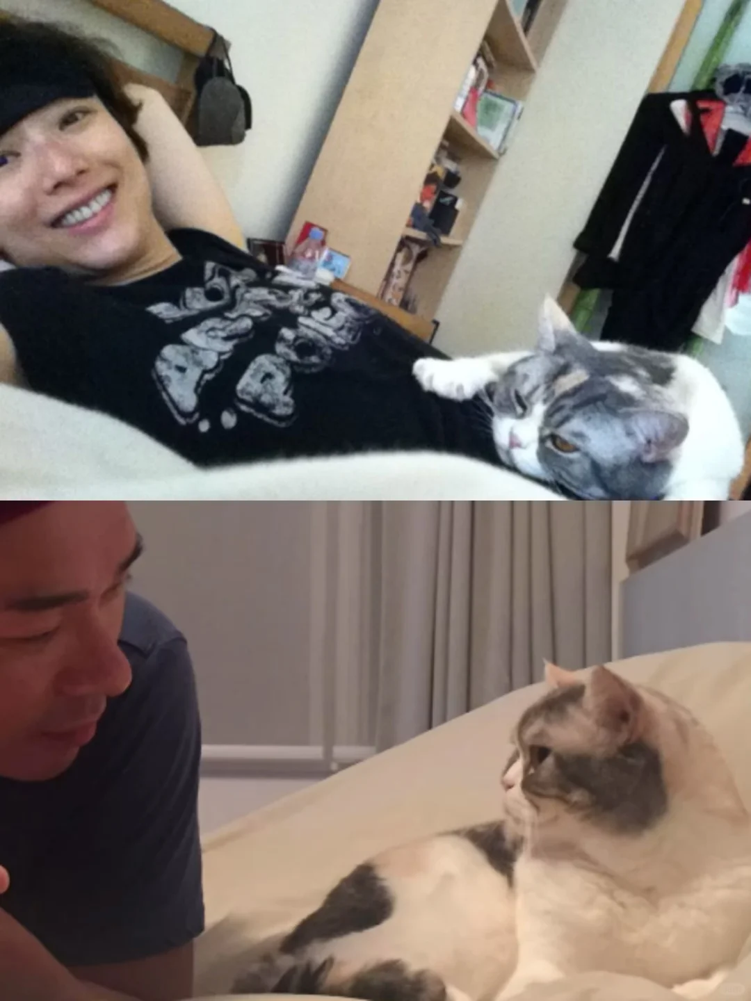 郑秀文15岁爱猫去世！心痛发文分别来得突然