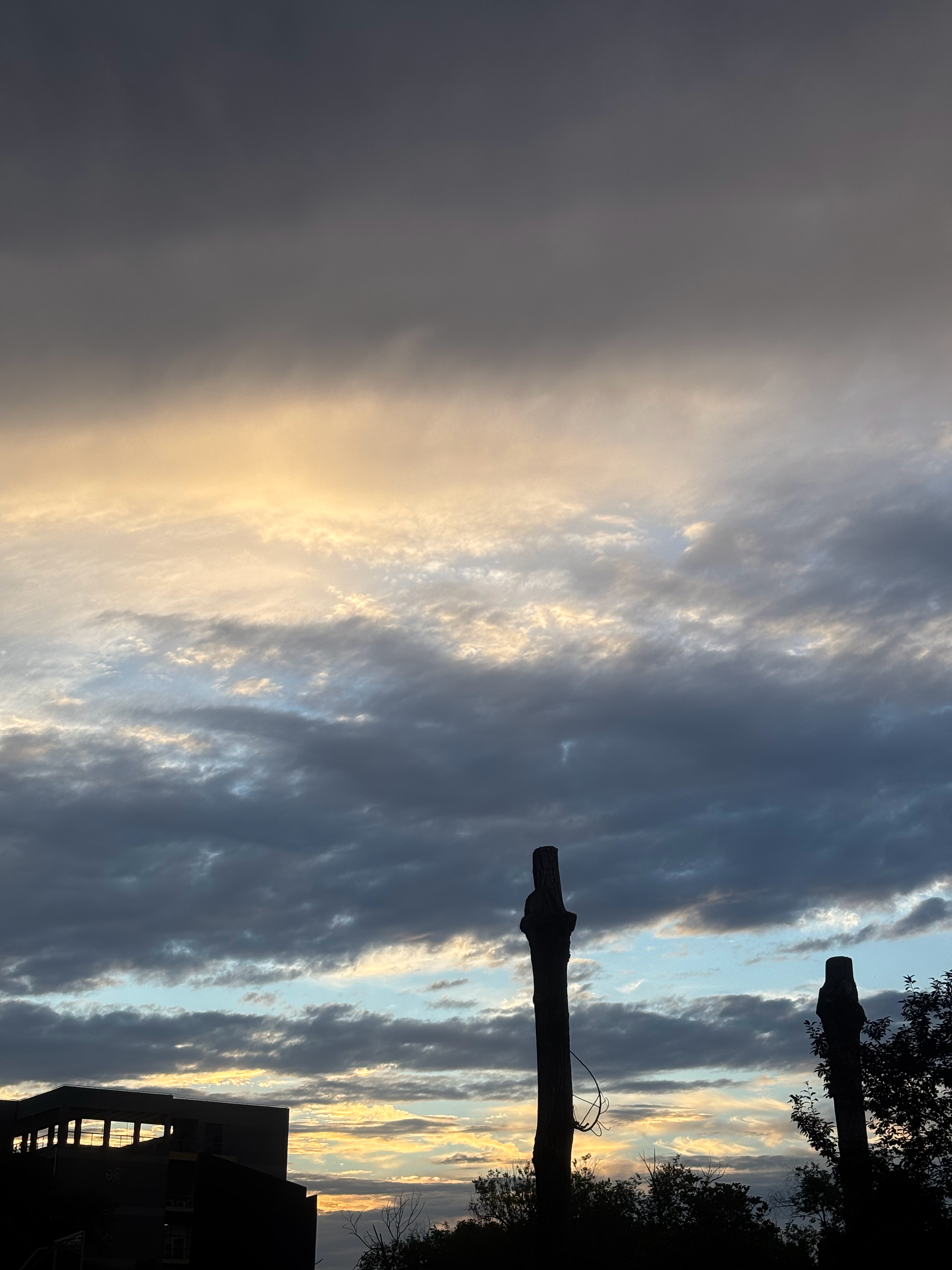 今日学校夕阳🌇 