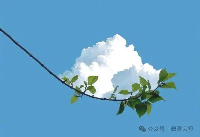 七律.题图

网上闲图—眼惊，心头欢喜动诗情。
如勺舀起沙糖白，比雪棉花枝绽明。