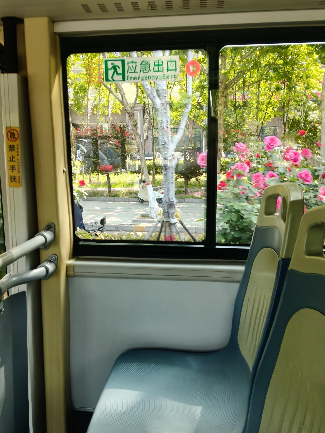 春日生活打卡季春日里到处都是美景，随处可看到，真喜欢春天。