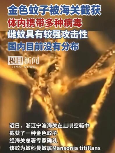 又是美国，又是病毒，这次不是实验室，是“带毒蚊子”直接开到中国宁波！

 
这年