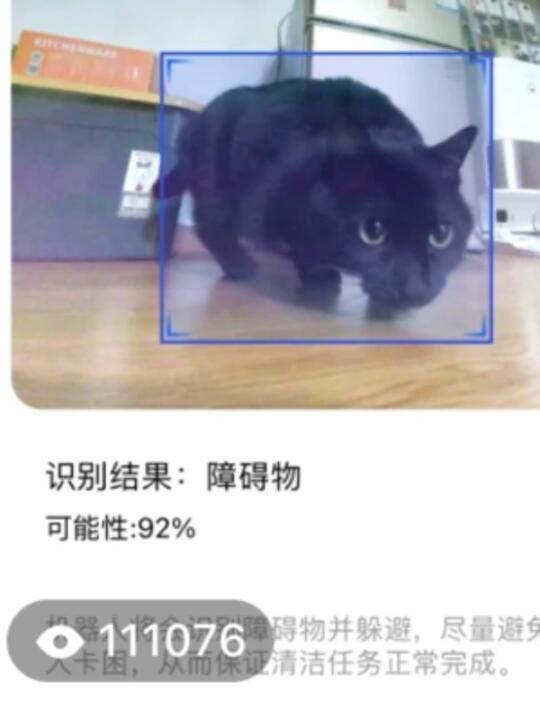 11w+人看过的人工智障和小猫的第一次见面