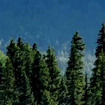 阳光信用‎阳光‎信用 ‎每日一善 善良是一种修养，善待他人就是善待自己，要想得到