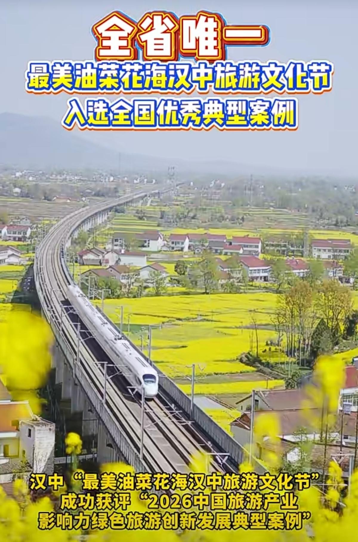 “最美油菜花海汉中旅游文化节”
入选全国优秀典型案例，陕西全省唯一。