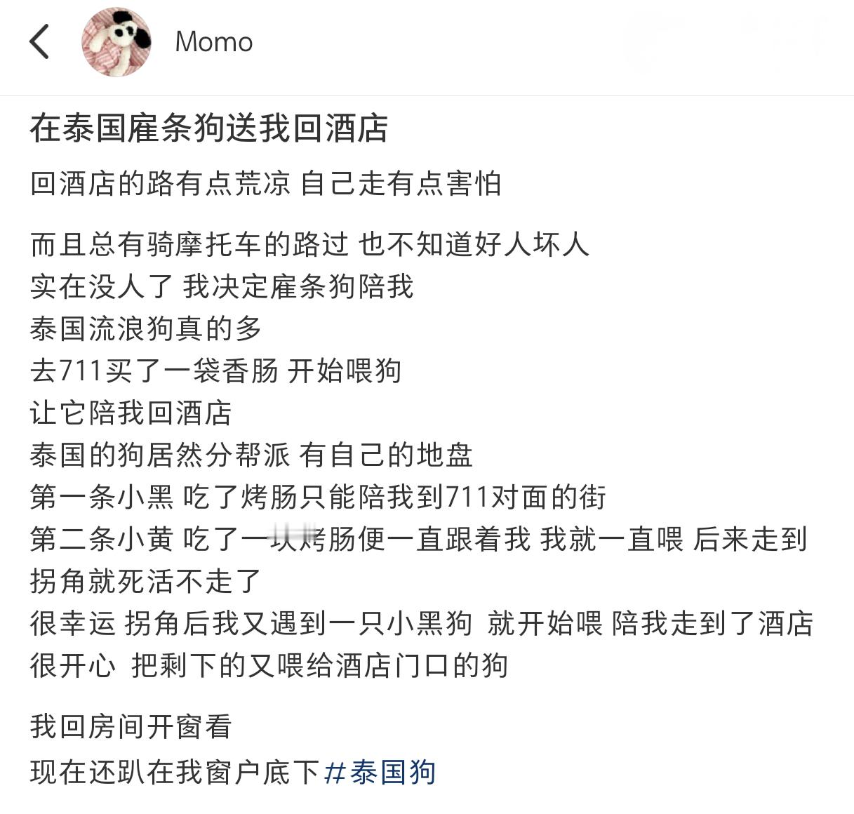 在泰国雇条狗送我回酒店#龙年造梗大赛##狗狗# ​​​
