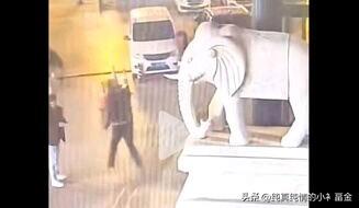 近日，河北沧州一名男子为拍照摆造型，攀爬至企业门口石雕大象底座，将象牙掰断后逃离