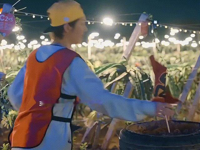 陈赫五哈抽粉丝送旅游基金陈赫问粉丝下季五哈去哪里旅游基金相比玩偶、海报这类常规粉