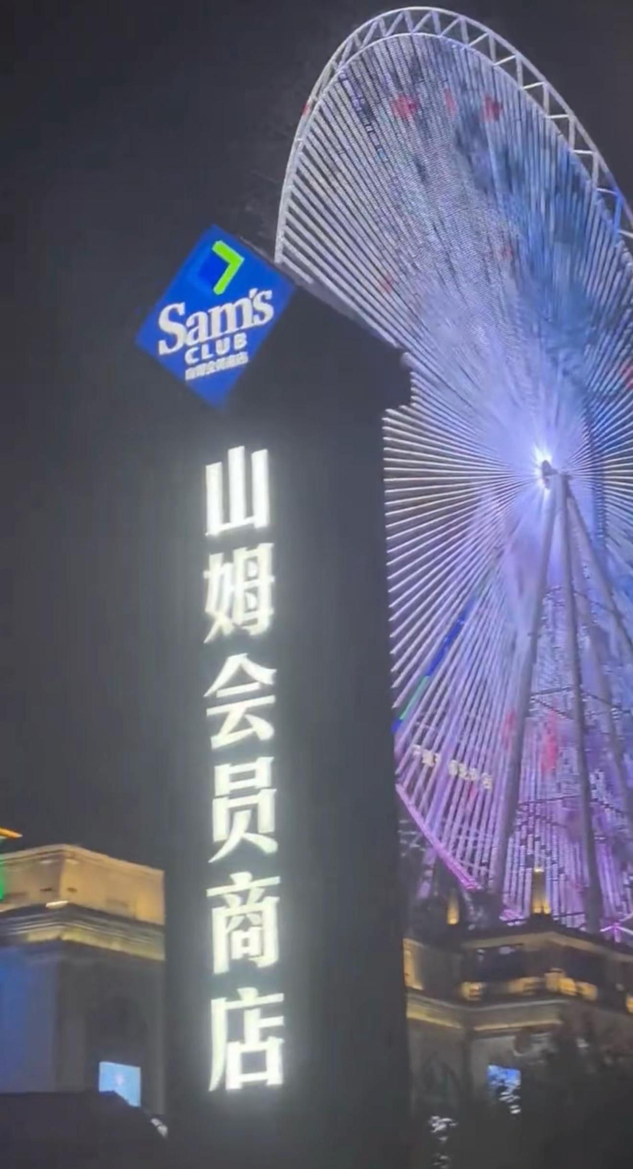 也许这就是命运的安排