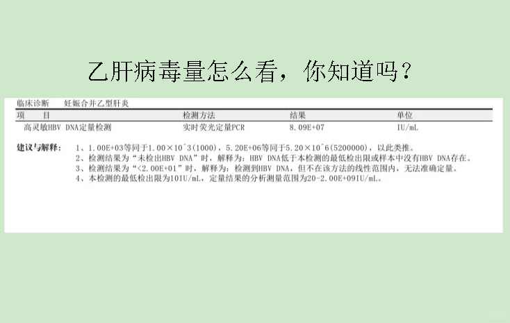 乙肝病毒量怎么看，你知道吗？ 如这位山东威海患者的报告单，病毒是8.0...