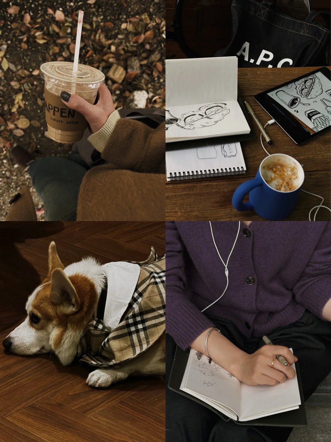 plog📜这个滤镜太适合“英式秋冬”日常啦！